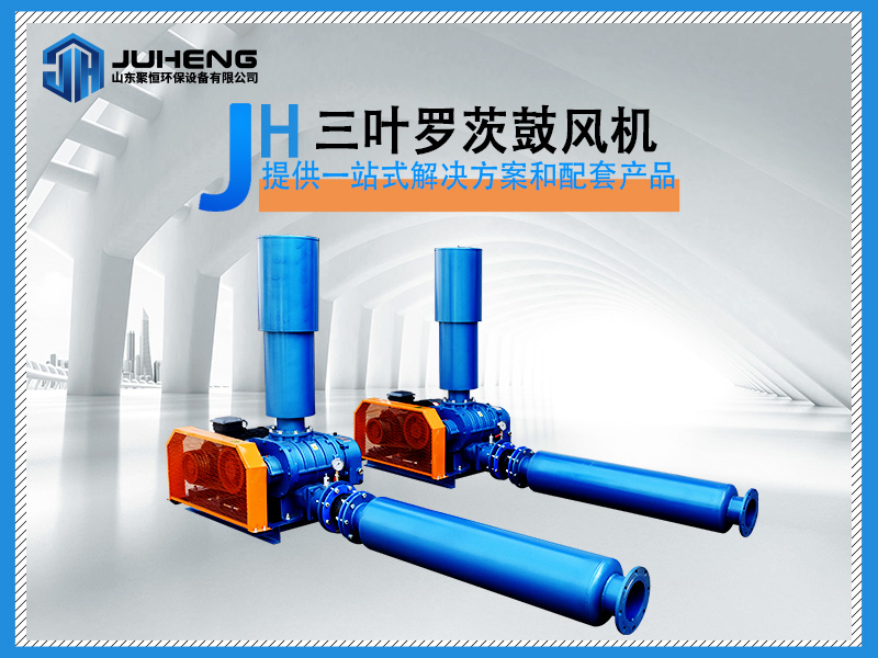 三葉羅茨鼓風(fēng)機