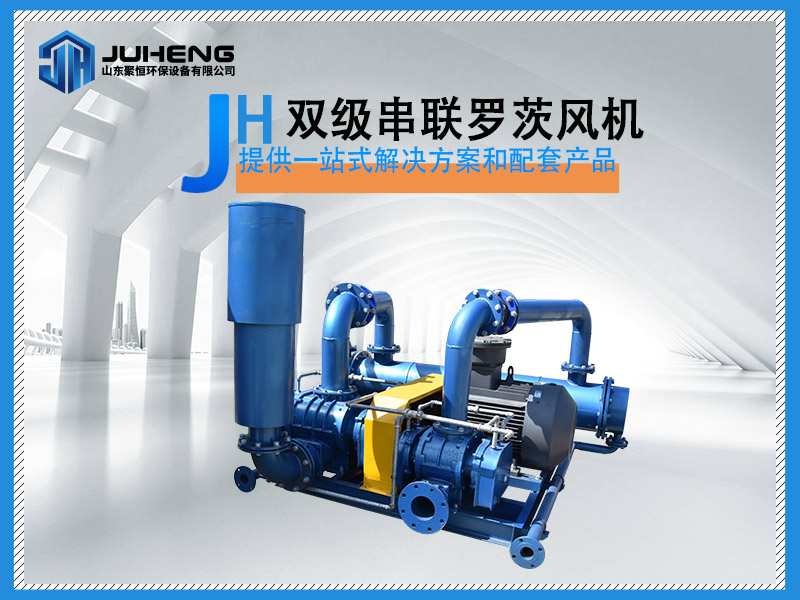 雙級串聯(lián)羅茨風(fēng)機